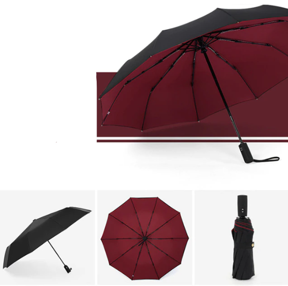 Foldable Umbrella | Automatic Open · Werune