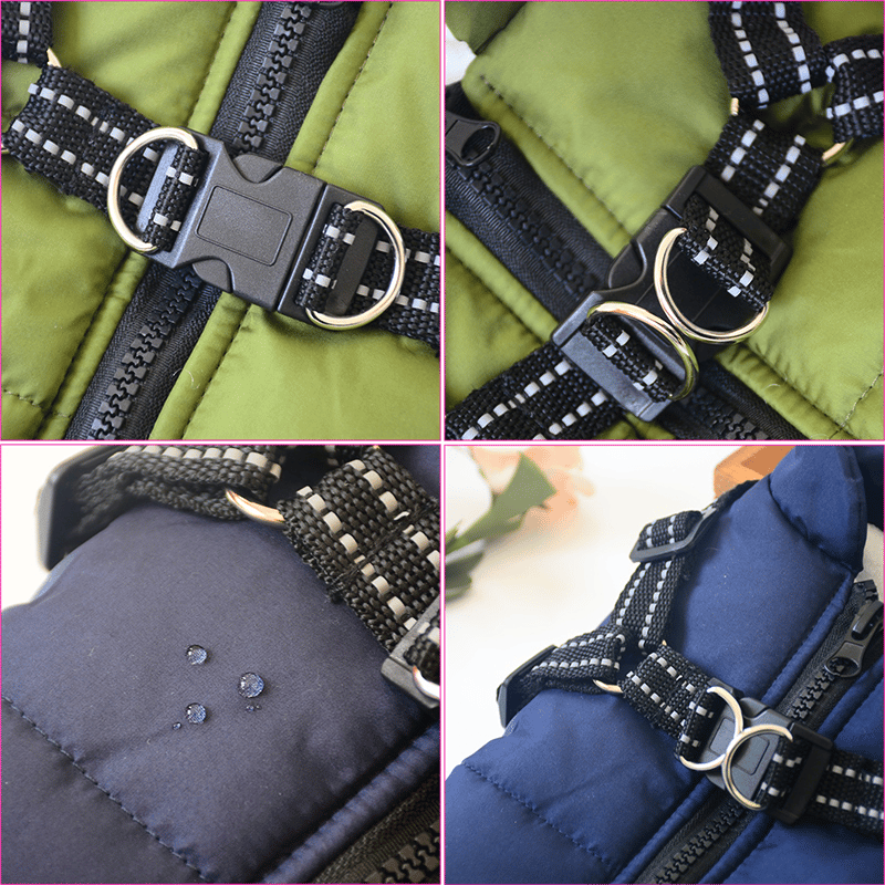 Padded Dog Coat | Built-In Harness · Werune