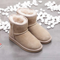 Snow Boots Suede Beige Fur-Lined Women's Ankle Booties – Winter, Casual Warm Everyday Wear