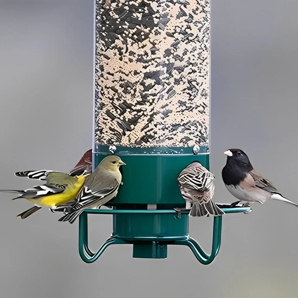 Hanging Bird Feeder Tube | Outdoor Seed Dispenser - Werune