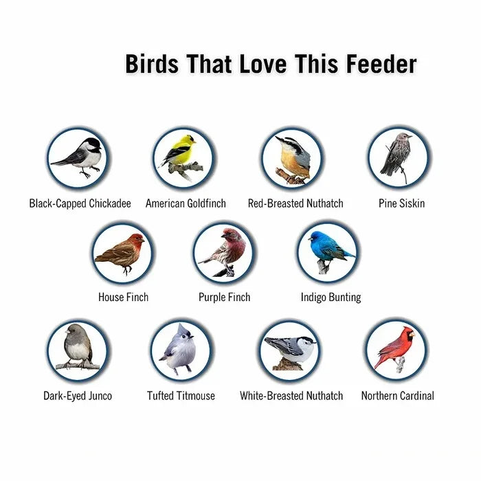 Hanging Bird Feeder Tube | Outdoor Seed Dispenser - Werune