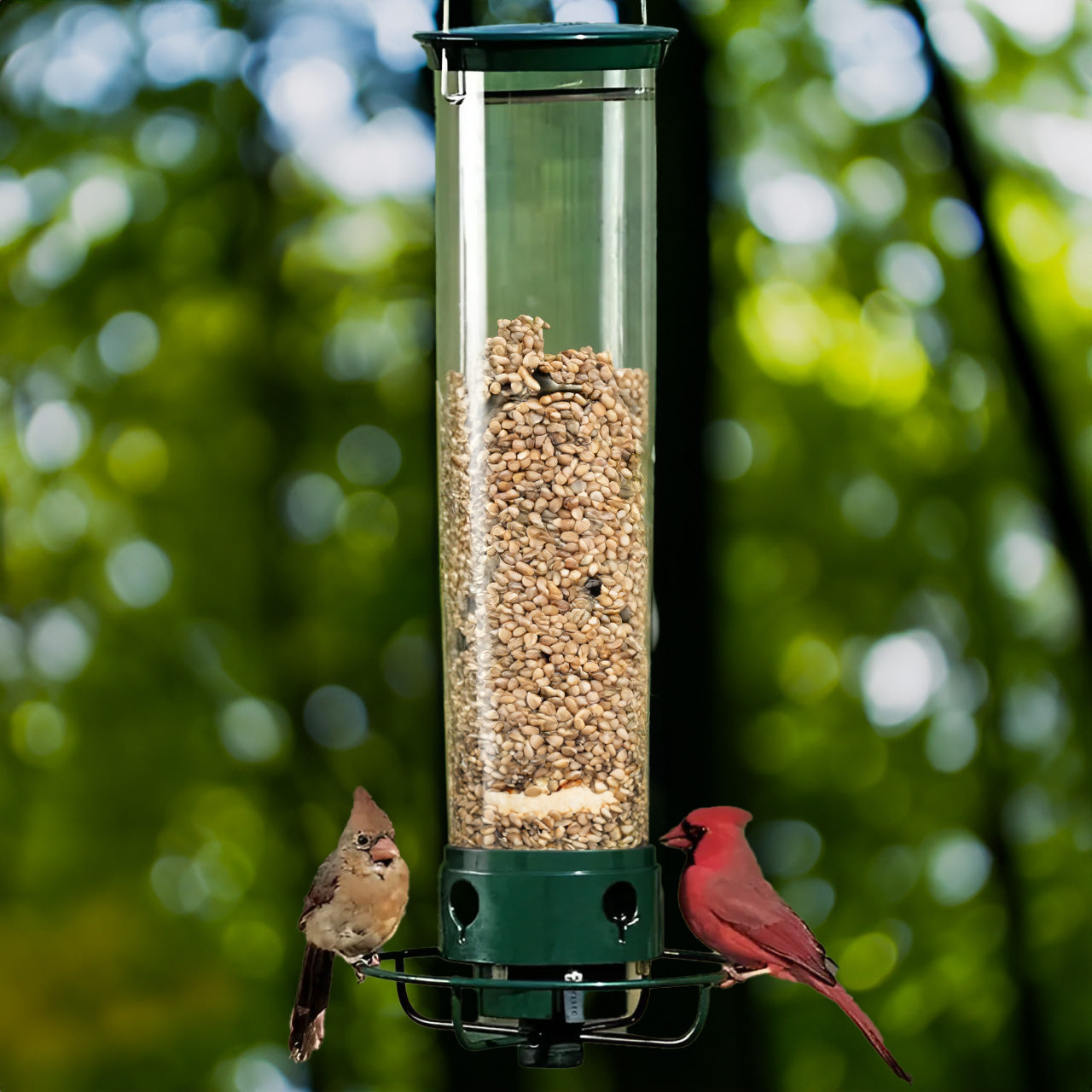 Hanging Bird Feeder Tube | Outdoor Seed Dispenser - Werune