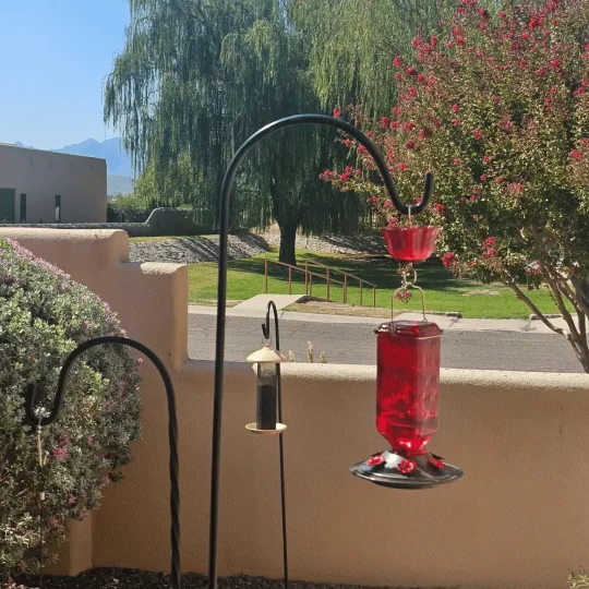 Hanging Hummingbird Feeder | Decorative Garden Nectar Dispenser - Werune