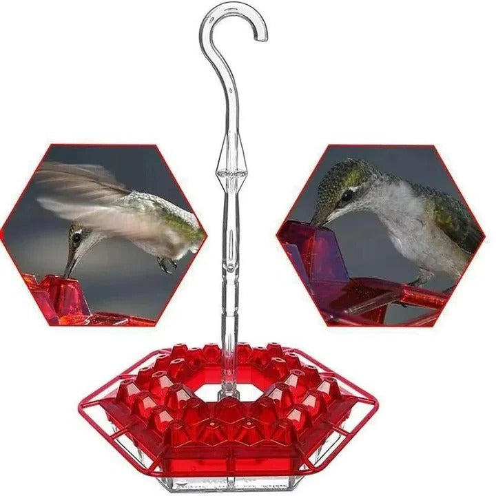 Hanging Hummingbird Feeder | Garden Nectar Tray Design - Werune
