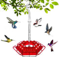 Hanging Hummingbird Feeder | Garden Nectar Tray Design - Werune