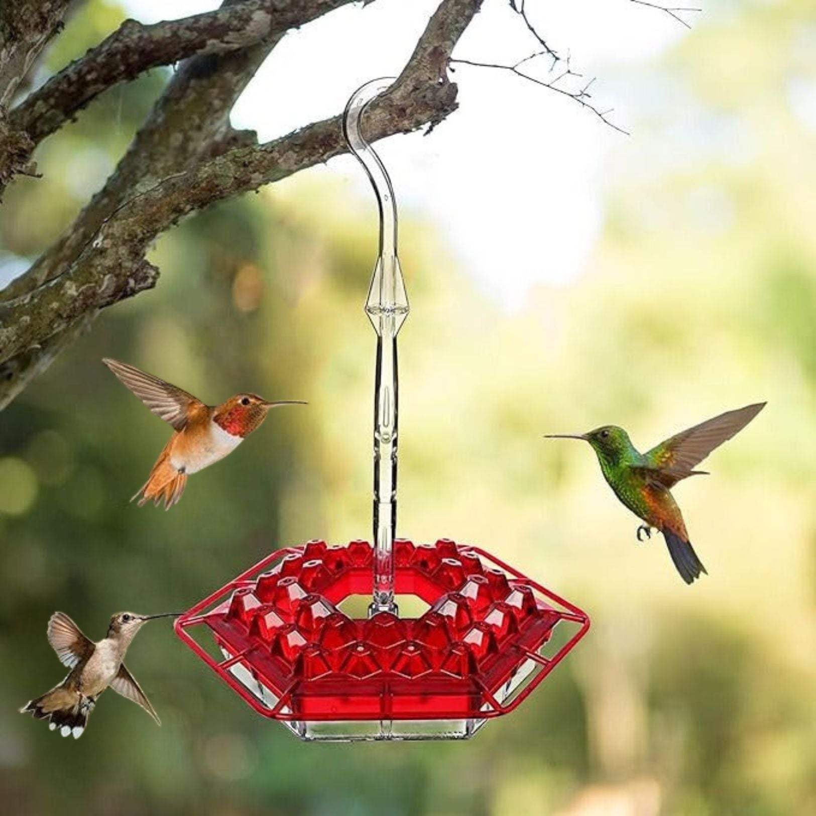 Hanging Hummingbird Feeder | Garden Nectar Tray Design - Werune